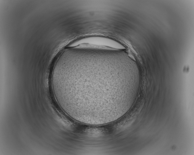 X0000096680299200802261522