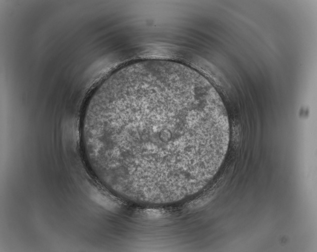 X0000096680302200802261522