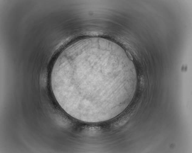 X0000096680304200802261522