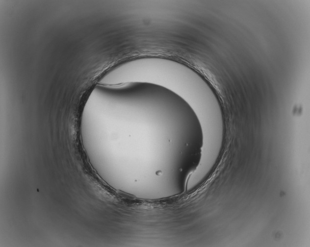 X0000096680305200802261522