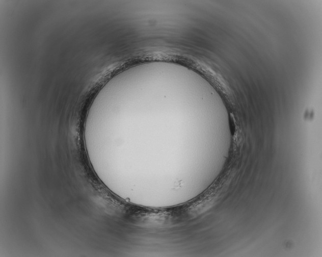 X0000096680306200802261522