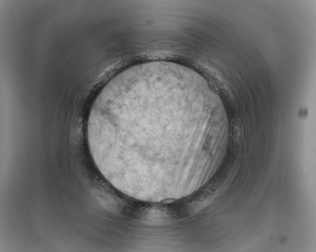 X0000096680308200802261522