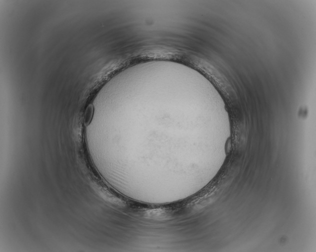 X0000096680309200802261522