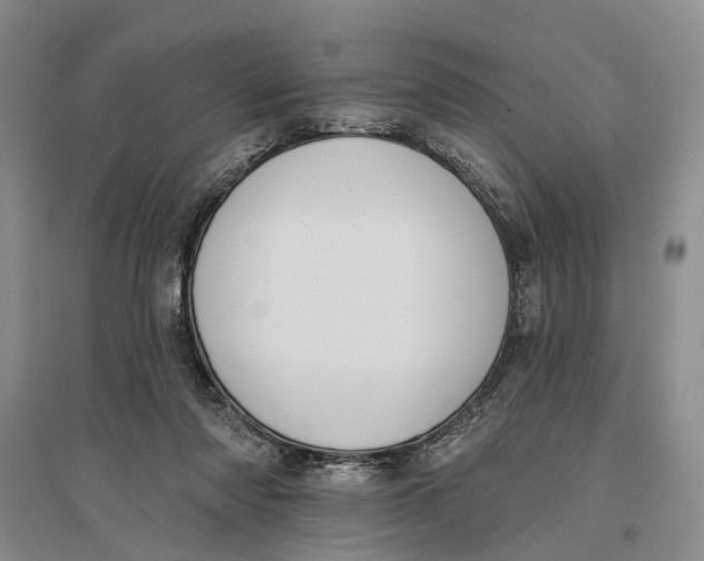 X0000096680310200802261522