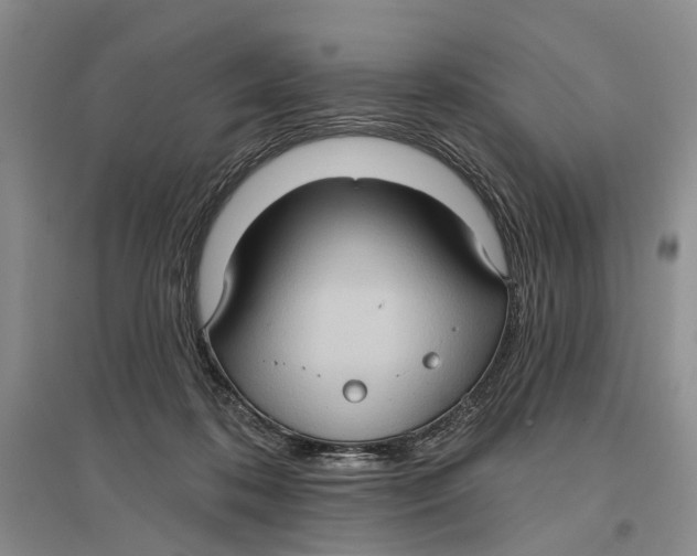 X0000096680316200802261522