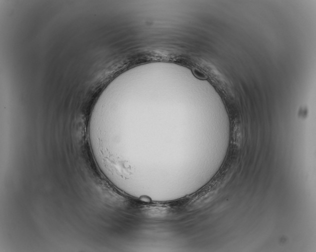 X0000096680318200802261522