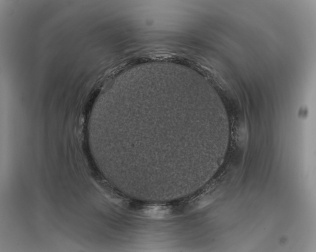 X0000096680319200802261522