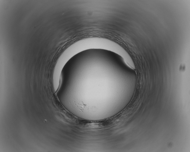 X0000096680320200802261522