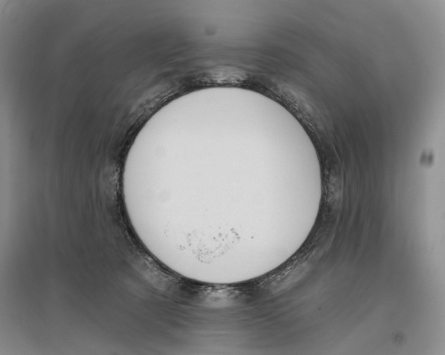 X0000096680321200802261522