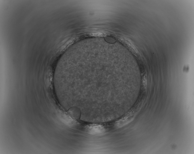 X0000096680322200802261522