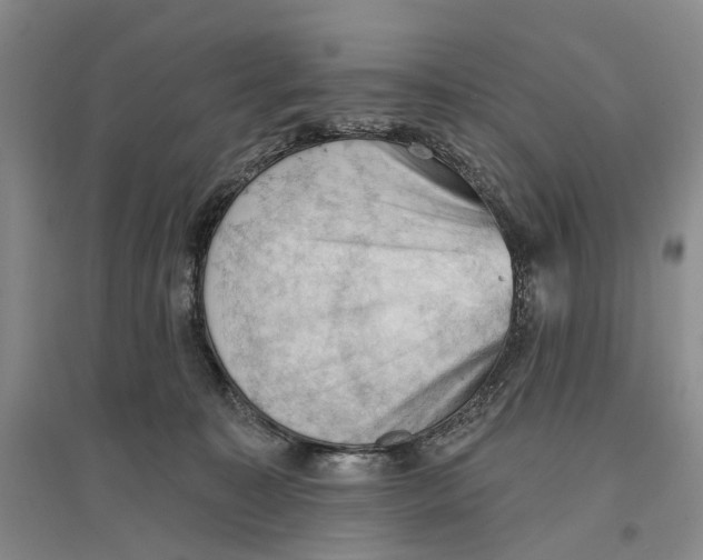 X0000096680323200802261522