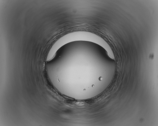 X0000096680324200802261522