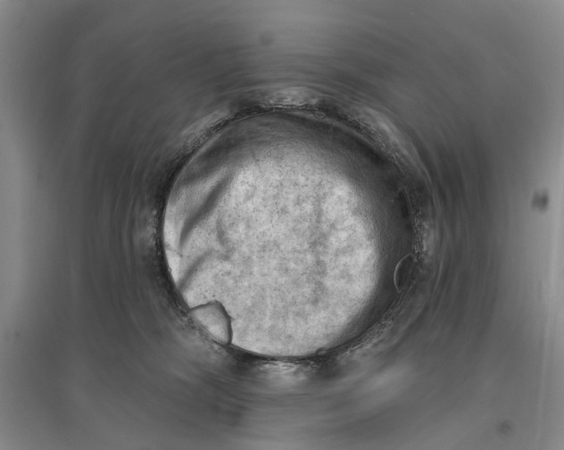 X0000096680326200802261522