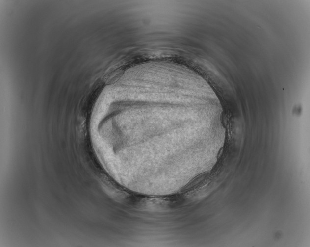 X0000096680327200802261522