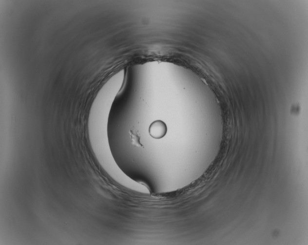 X0000096680328200802261522