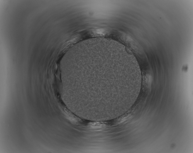 X0000096680331200802261522