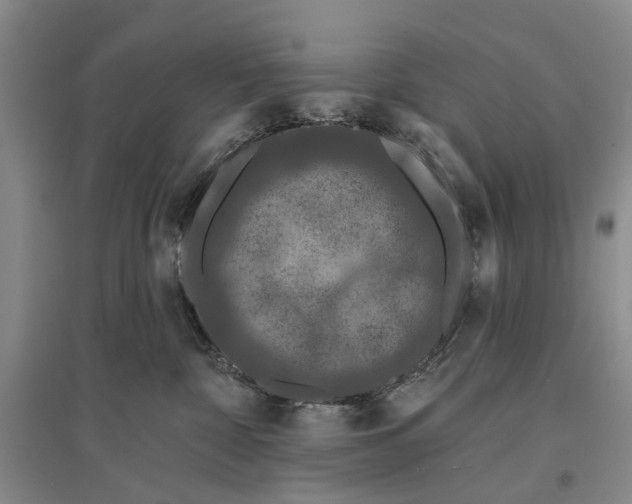 X0000096680332200802261522