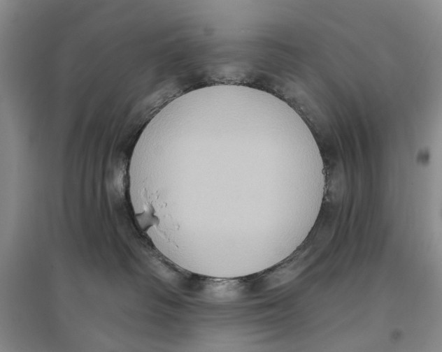 X0000096680334200802261522