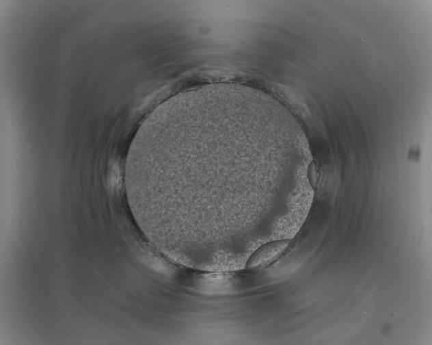 X0000096680335200802261522