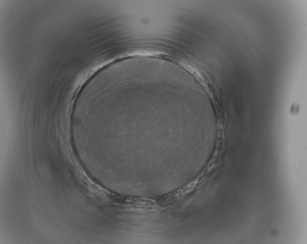 X0000096680337200802261521