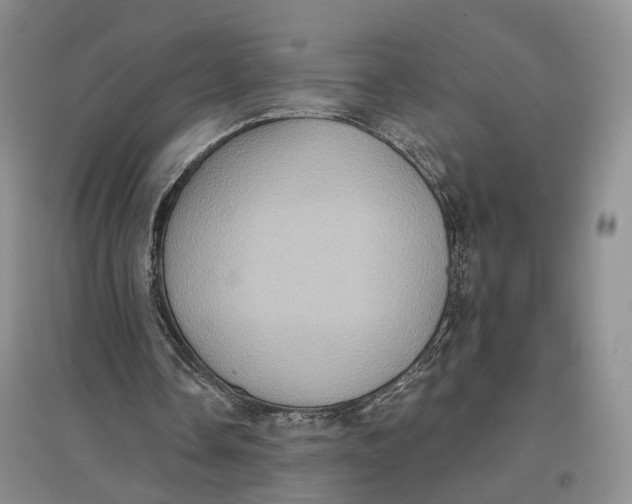 X0000096680338200802261521