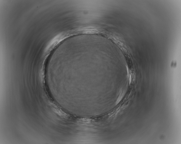 X0000096680339200802261521