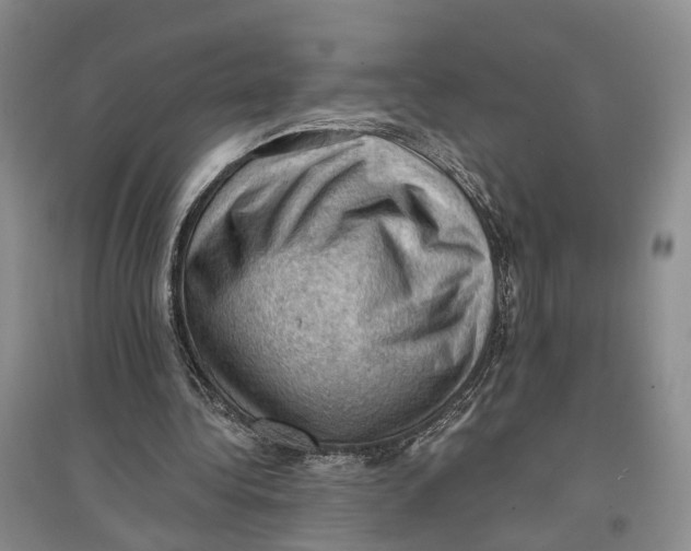 X0000096680340200802261521