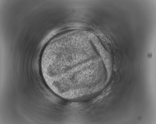 X0000096680341200802261521