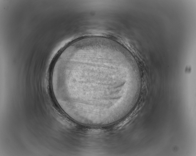 X0000096680342200802261521