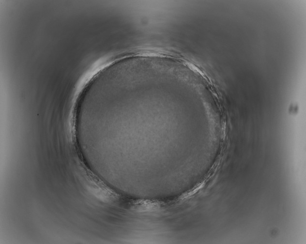 X0000096680343200802261521