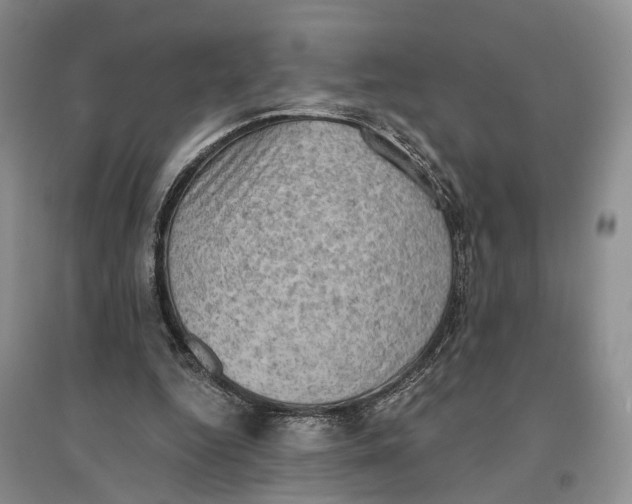 X0000096680344200802261521