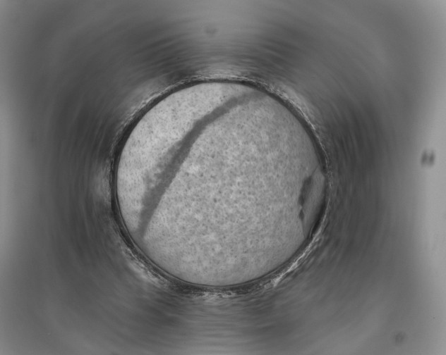 X0000096680345200802261521