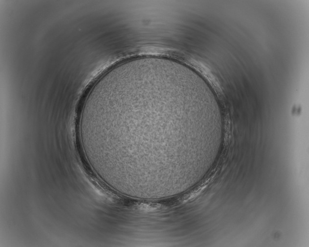 X0000096680346200802261521