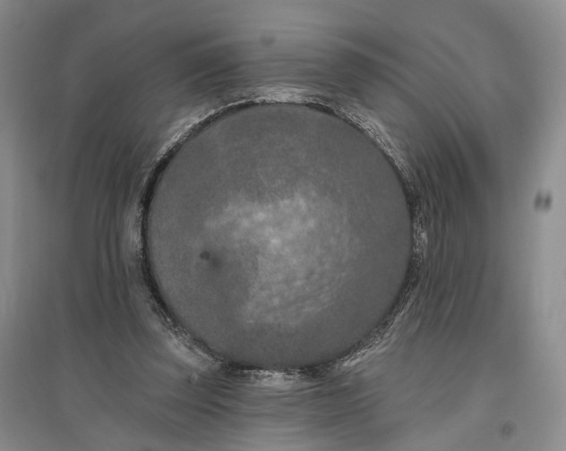 X0000096680347200802261521