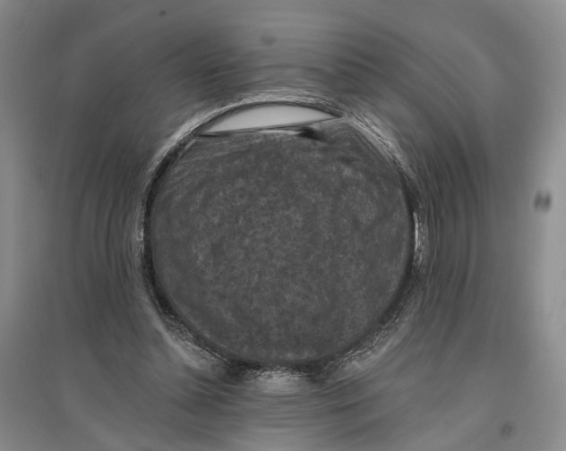 X0000096680348200802261521