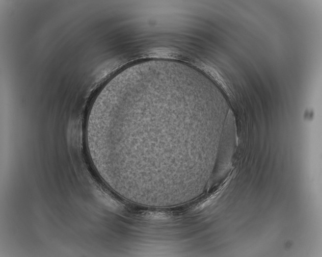 X0000096680349200802261521