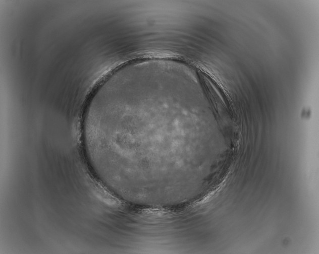 X0000096680351200802261521