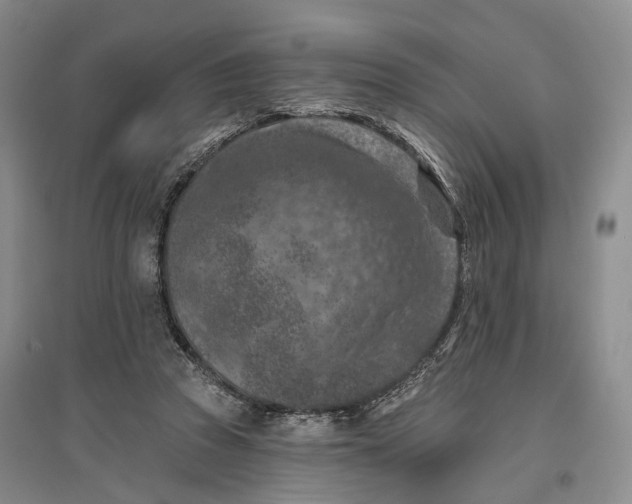 X0000096680353200802261521