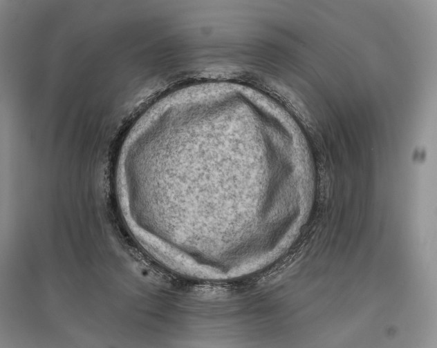 X0000096680354200802261521