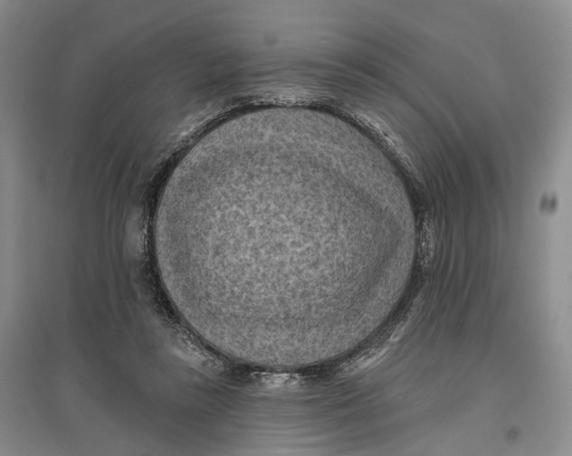 X0000096680355200802261521