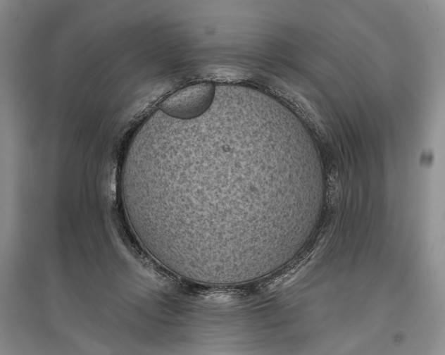 X0000096680358200802261521