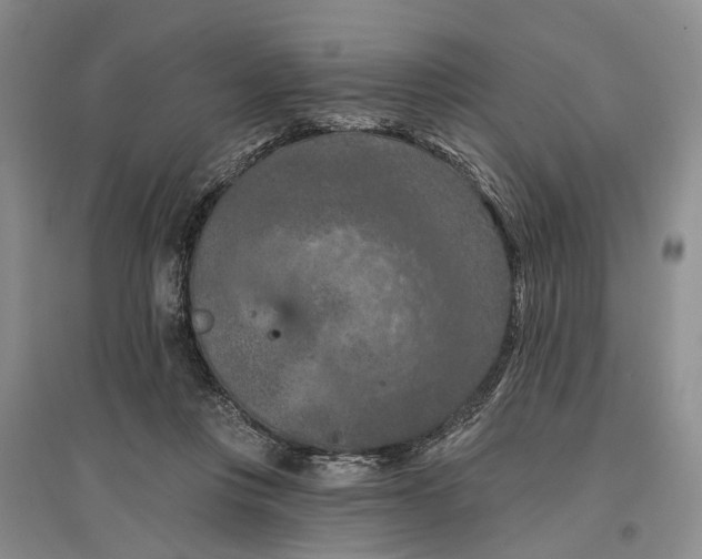 X0000096680359200802261522