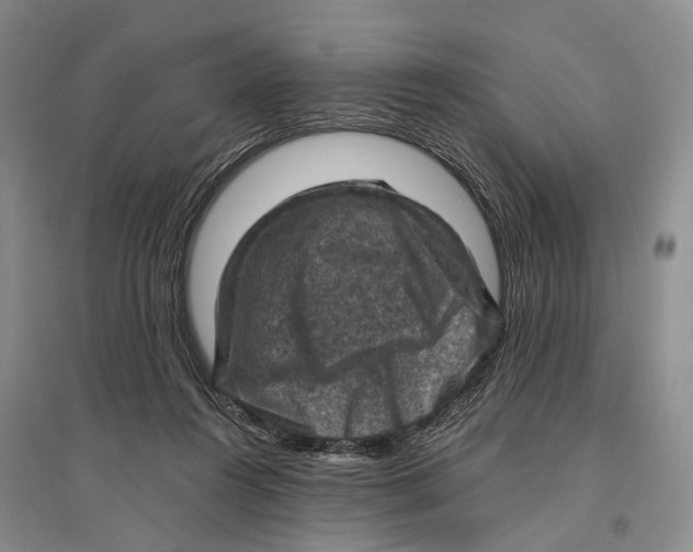 X0000096680360200802261522