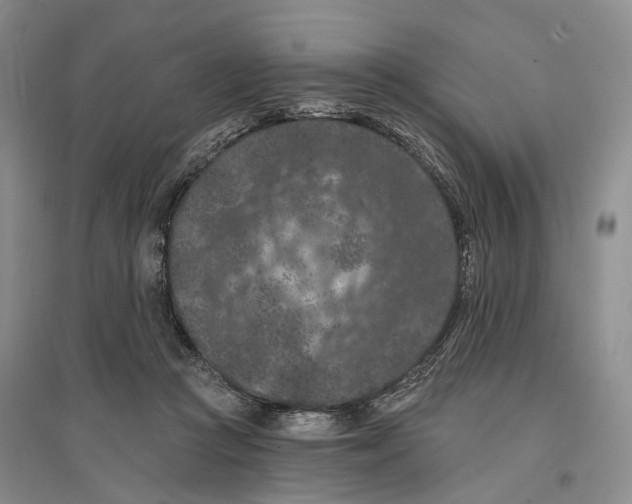 X0000096680361200802261522