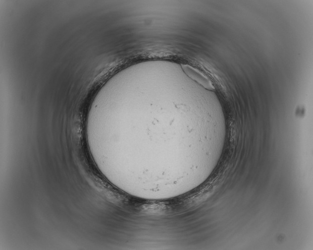 X0000096680362200802261522