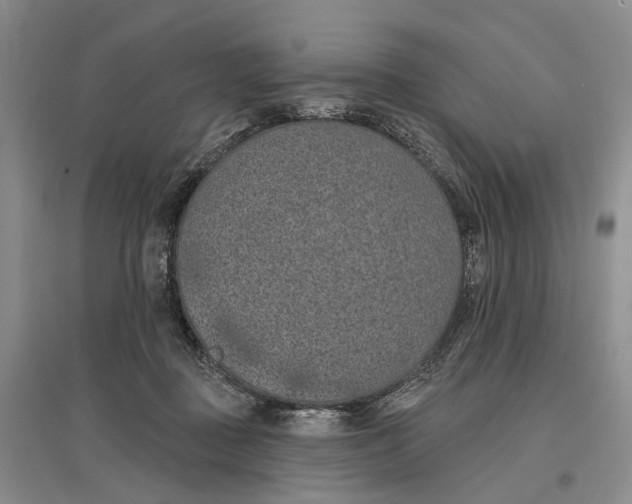 X0000096680363200802261522