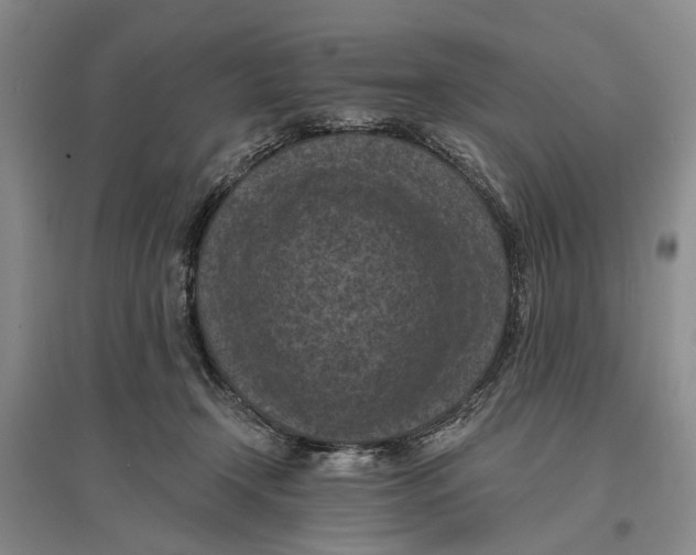 X0000096680366200802261522