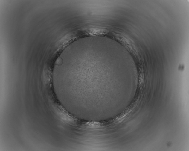 X0000096680367200802261522