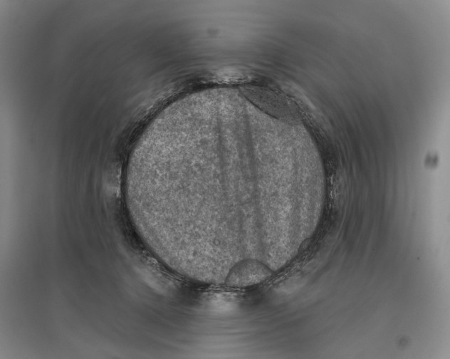 X0000096680368200802261522