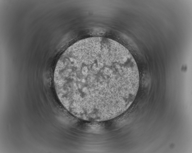 X0000096680370200802261522